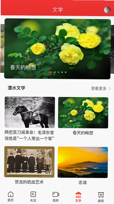 新桑植预览图