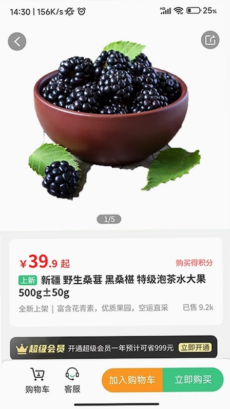 轩果陶预览图