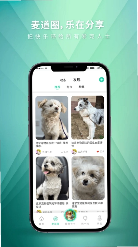 麦道预览图