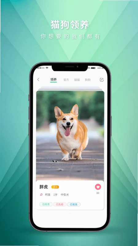 麦道预览图