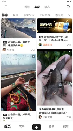 �Ǹ�����Ԥ��ͼ