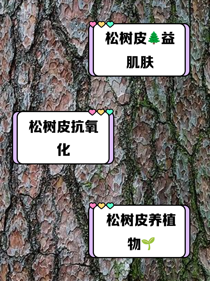松干健康调理常见问题解答配图