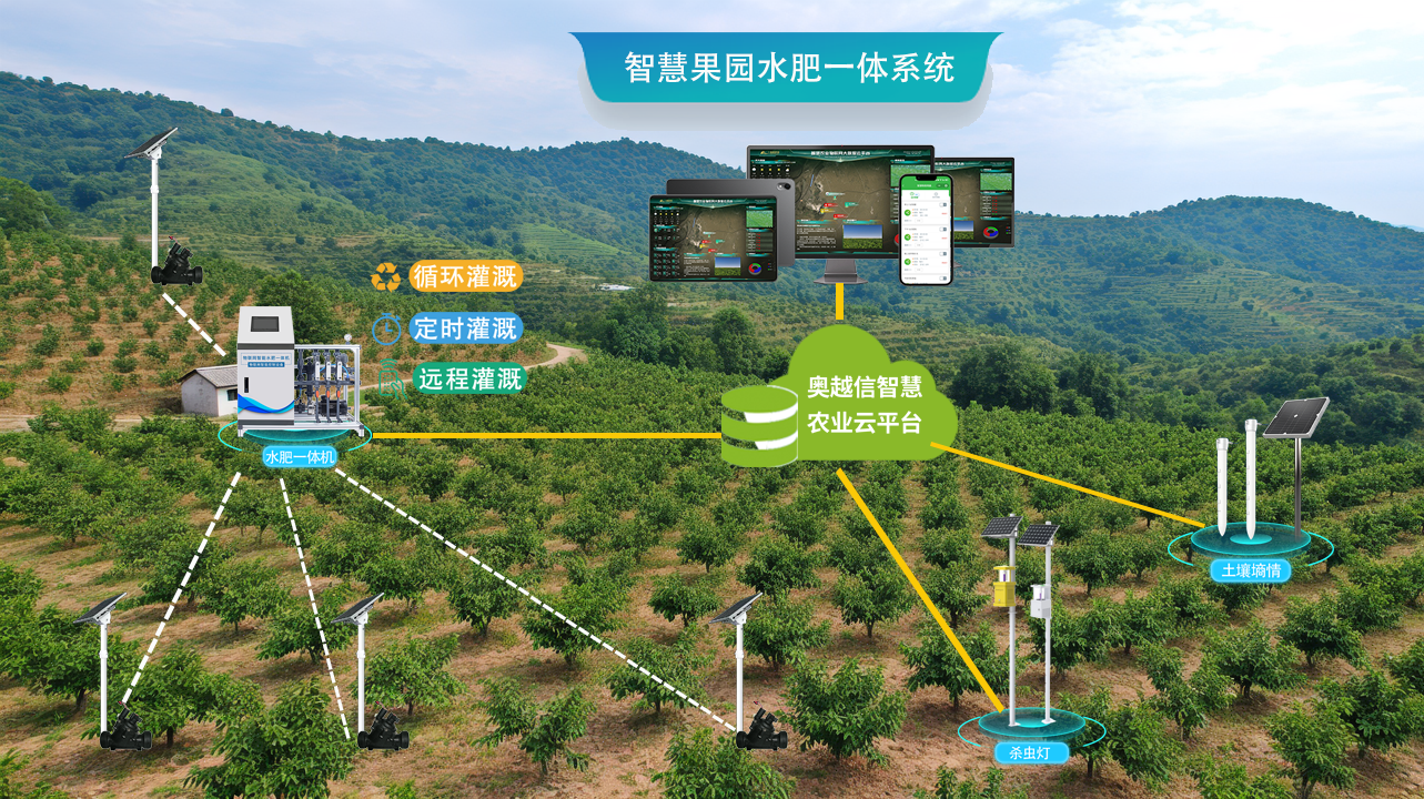 橙子生产通果园管理效率提升实操教程配图