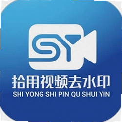 拾用视频去水印
