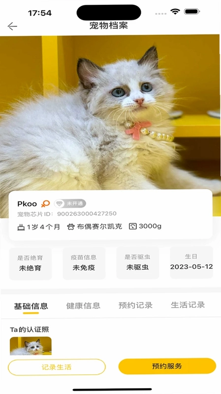 超级彼得预览图