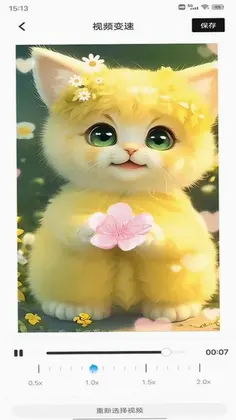 ������Ƶ��������Ԥ��ͼ