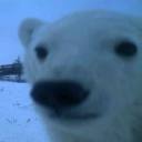 С����Դ�ٷ���1.7.5��׿��