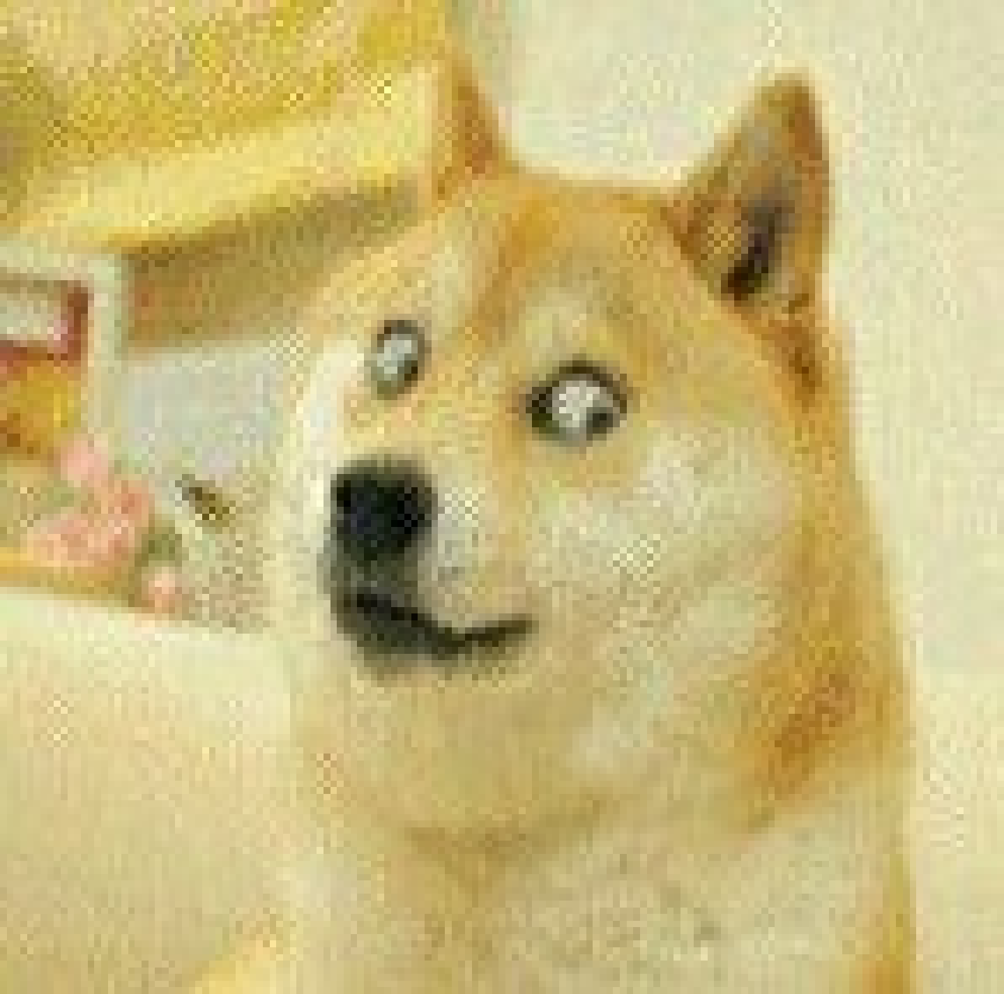 ����������ֱװv3.03.0���°�