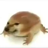 �ҵĵ���1.0 ���°�