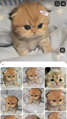 Pinterest�رչ���ͼ2