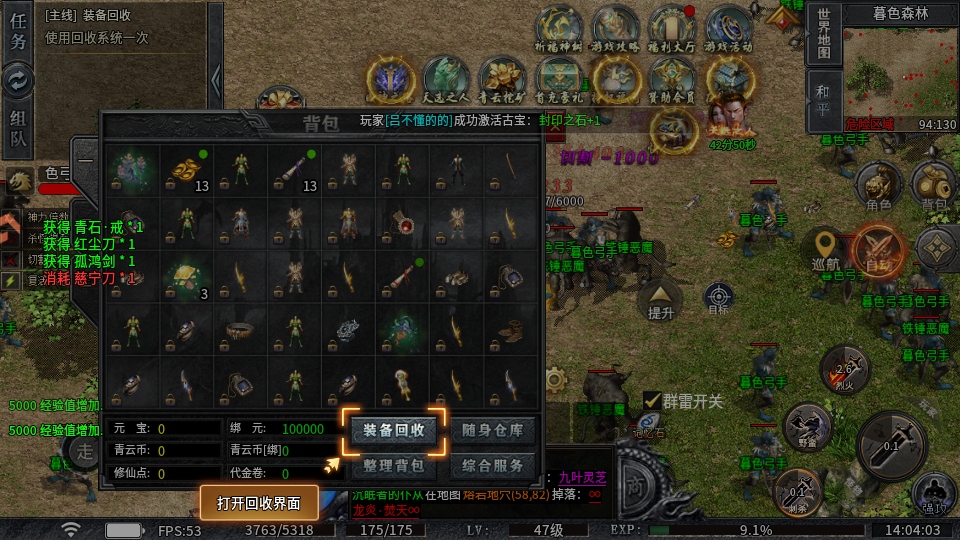 圣域传说传奇手游官方版截图2