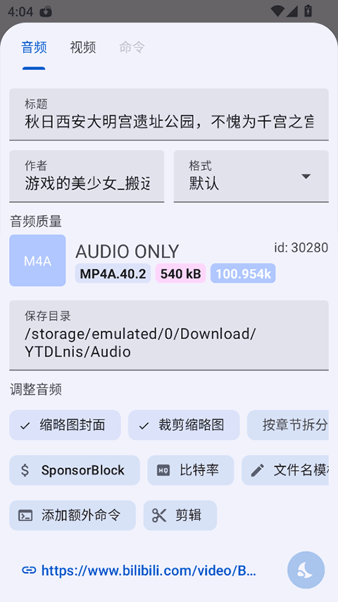 YTDLnis官方版1.8.7.3安卓版截图3