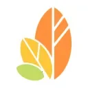 ����������1.45 ���°�