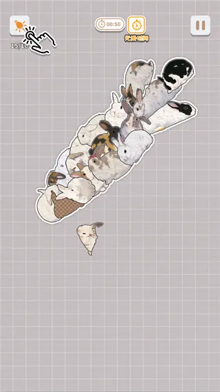 ����һ�������2026���°汾