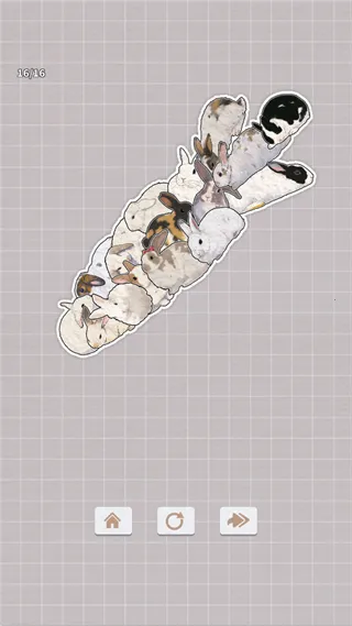 ����һ�������2026���°汾