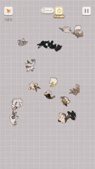 ����һ�������2026���°汾