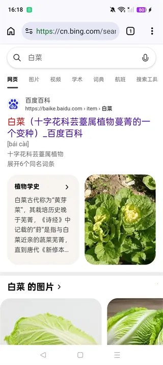 cromite������ֻ���