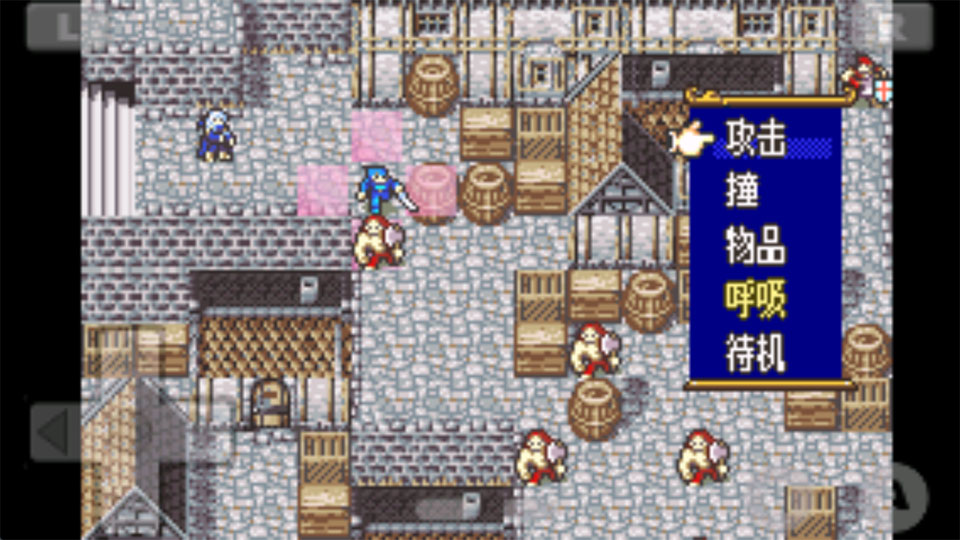 ����֮�����°汾2026