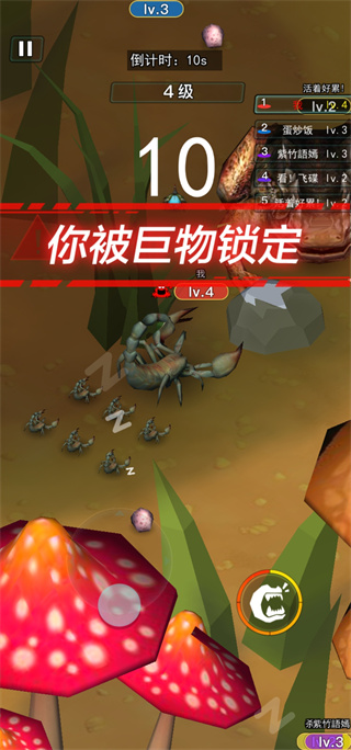 ����������Ҷ����°汾