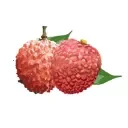 ���ǲ����ٷ���1.7.5��׿��