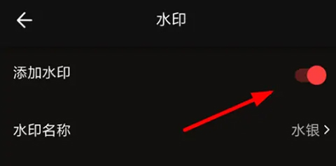 VUE��Ƶ�������°汾2026