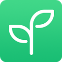 һ��ɳ��ٷ���2.6.6���°�