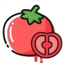 �������ʳ�ٷ�����3.4.18��׿��