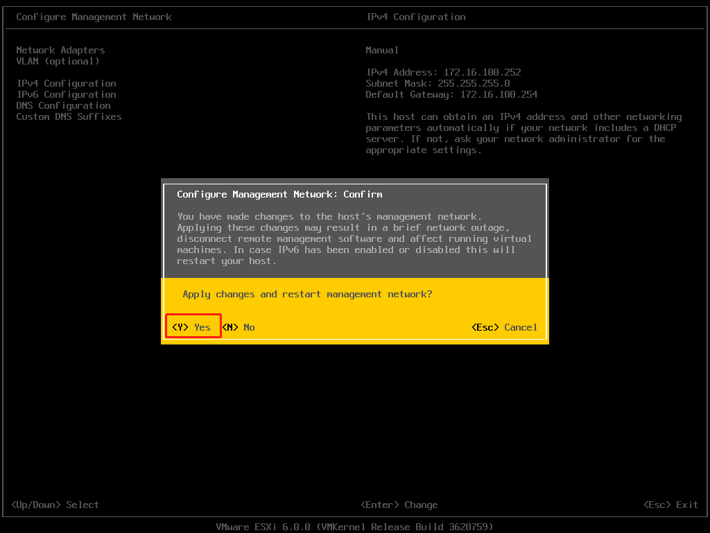 ����IP����