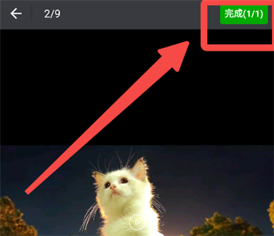 �������ּ�������