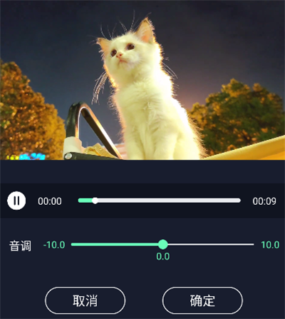 �������ּ�������