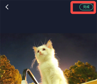 �������ּ�������