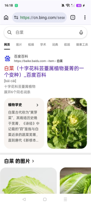 cromite�ٷ����ͼ0