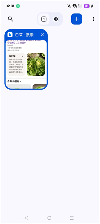 cromite�ٷ���145.0.7632.120��׿���ͼ1