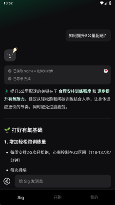 Sigma运动截图1