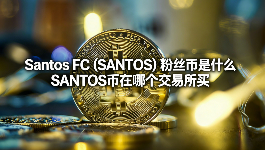 Santos FC��SANTOS����˿����ʲô SANTOS�����ĸ���������