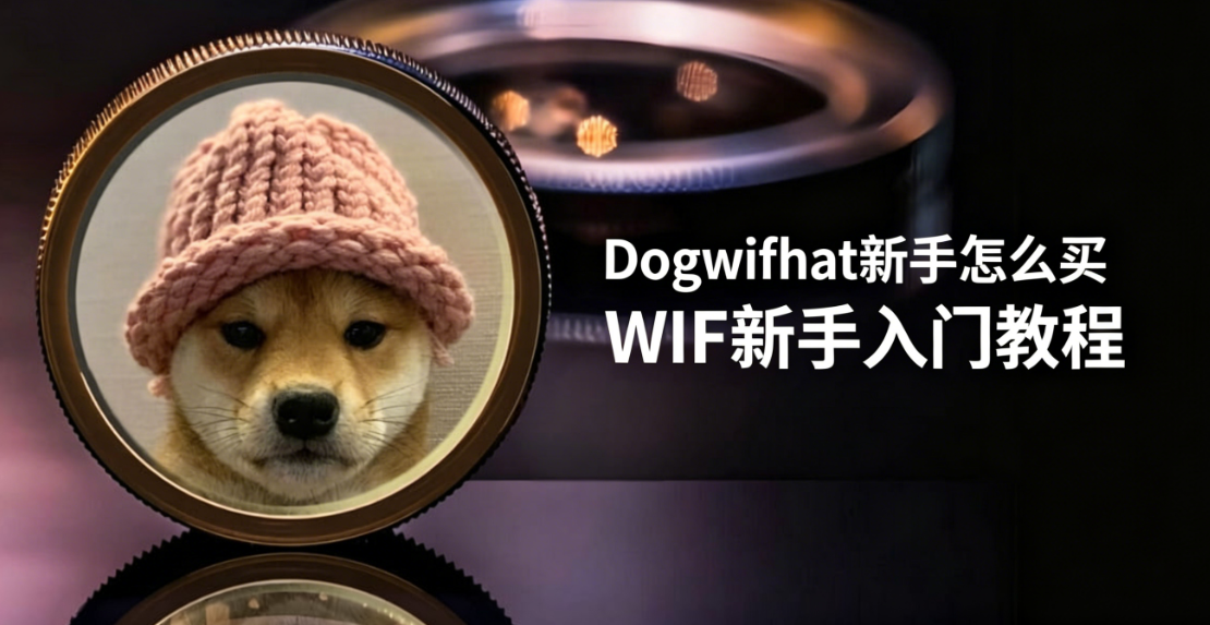 Dogwifhat新手怎么买 WIF新手入门教程 Dogwifhat新手怎么买 WIF新手入门教程