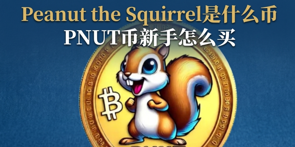 Peanut the Squirrel是什么币 PNUT币新手怎么买 Peanut the Squirrel是什么币 PNUT币新手怎么买