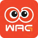 ��������app2.4.4��׿��