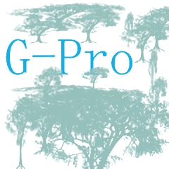 G-Pro改比例助手