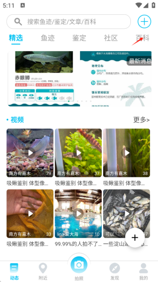 看鱼最新版本 看鱼最新版本