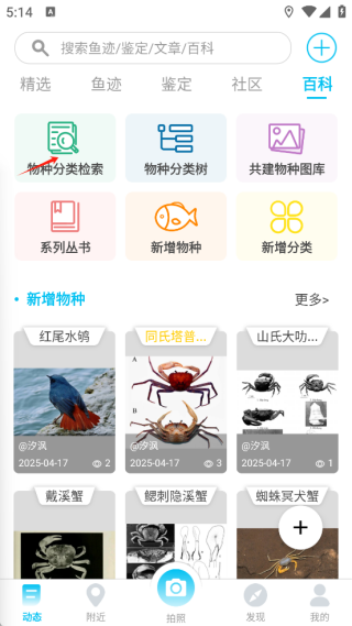 看鱼最新版本 看鱼最新版本