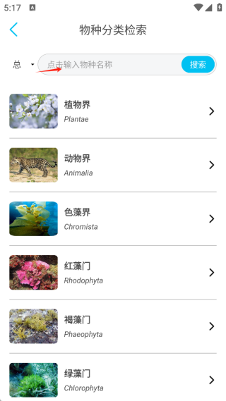 看鱼最新版本 看鱼最新版本