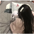 king�Ż�������°汾��king�Ż�1.0�ֻ���
