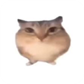 �ͰͲ�һ����ٷ�����1.0 �ֻ���