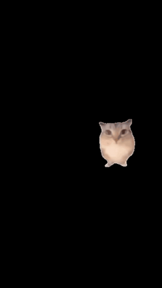 �ͰͲ�һ����ٷ������ͼ2