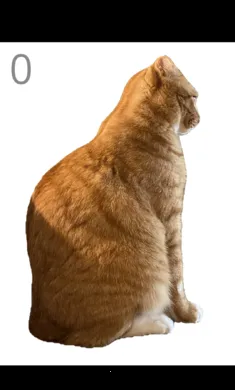 给猫梳毛游戏截图0