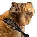��è��ë��Ϸ1.0��׿��
