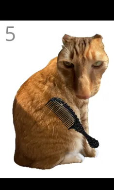 给猫梳毛游戏1.0安卓版截图2