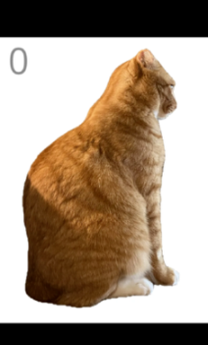 给猫梳毛游戏 给猫梳毛游戏