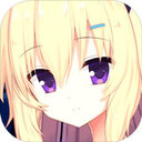 iris����2.0.4 ���°�